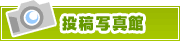 投稿写真館 | タウンガイド横須賀